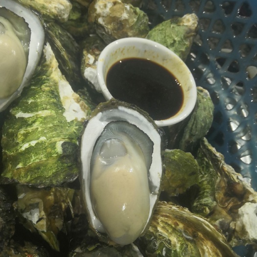 饶平县汫洲大蚝 网红高压锅生蚝，深海生蚝