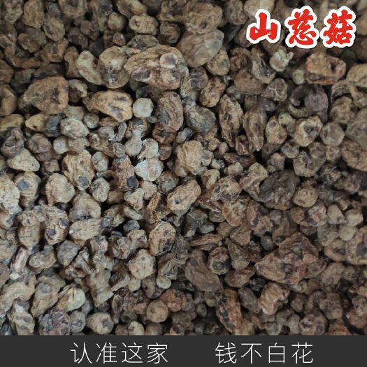  山慈菇 中药材 正品保证 放心用 包邮