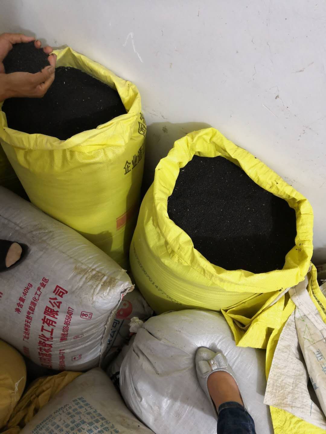  油菜籽大量供应