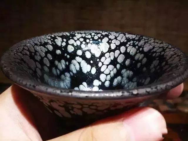 南平苍术种子