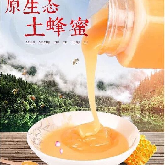 云霄县 特色土蜂蜜