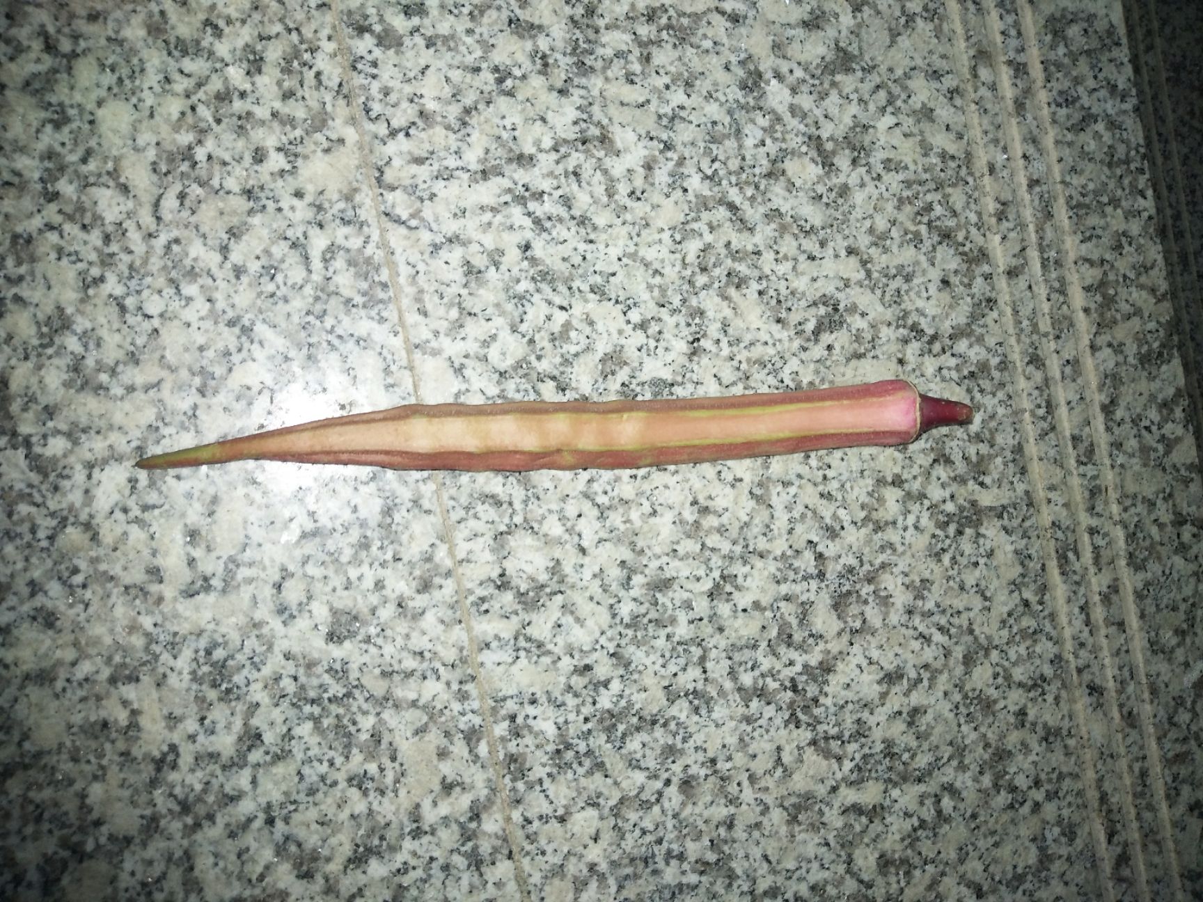  红秋葵，营养，保健