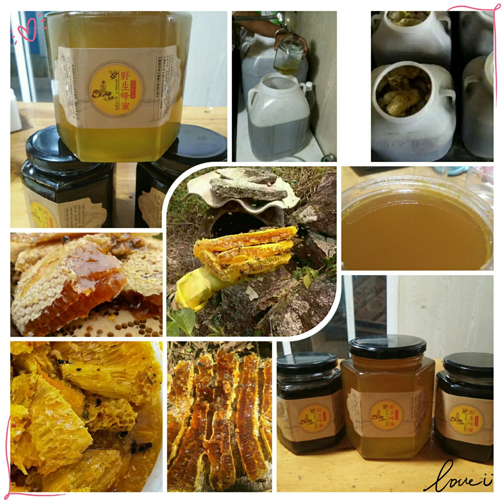 土蜂蜜 缅甸野生黄蜜黑蜜