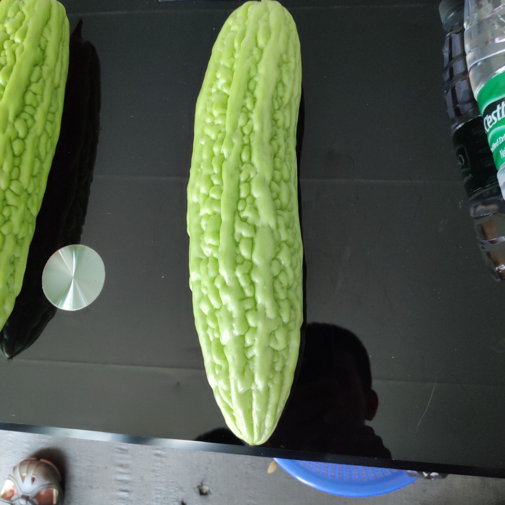 珍珠苦瓜，假珍珠苦瓜苗