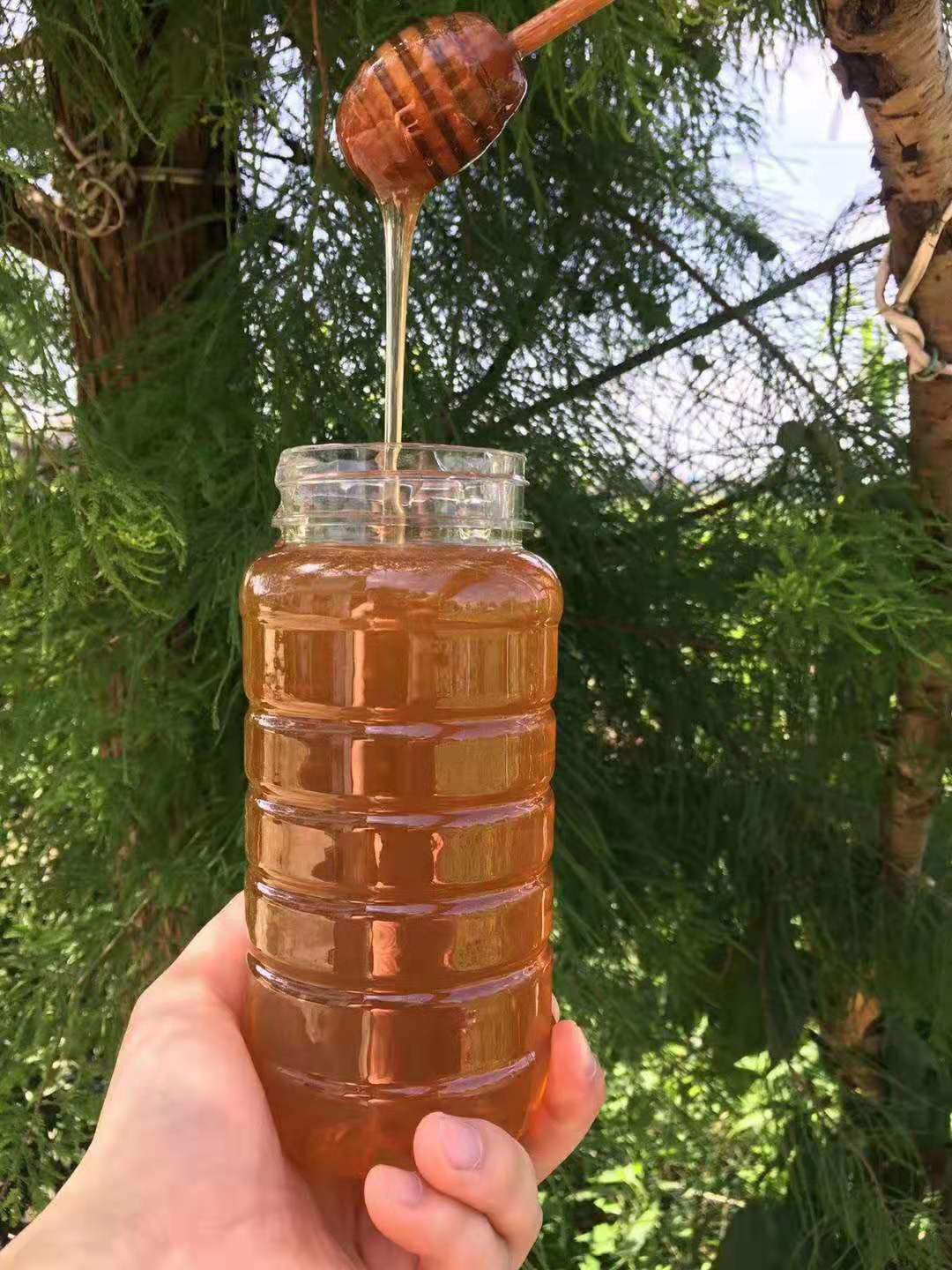  高原无公害蜂蜜