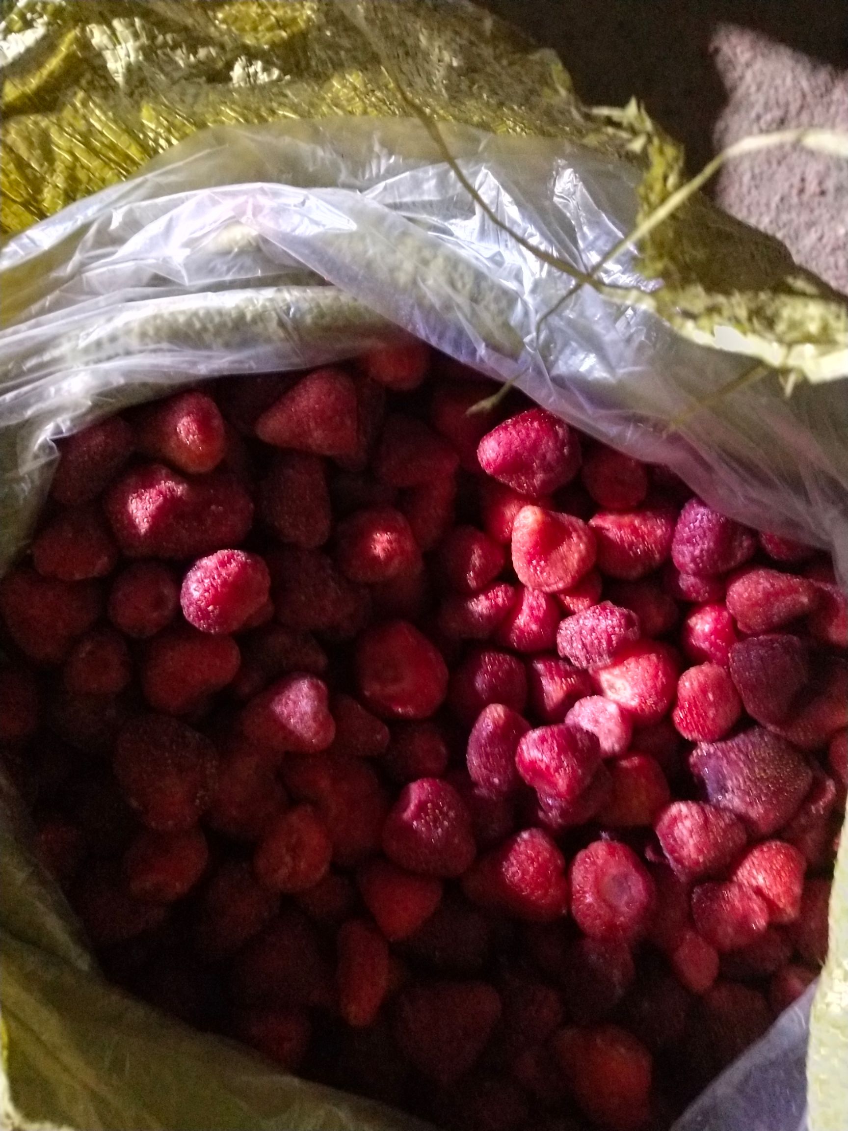 美13草莓 20克以上