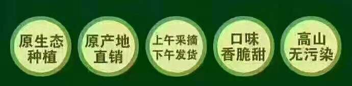  桂东高山黄桃，天然无污染，含有多种维生素和旷物质，香脆甜