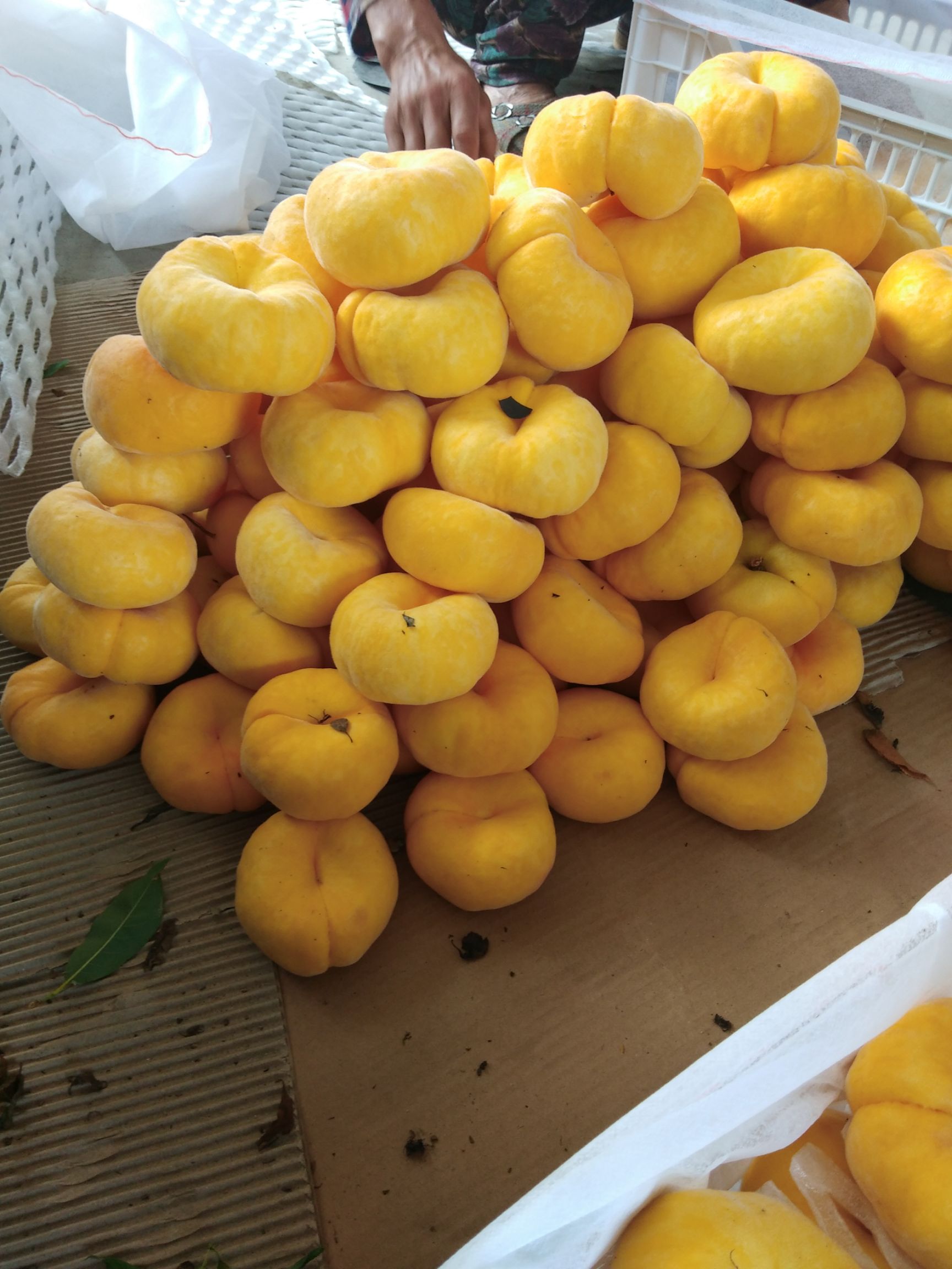  优质黄蟠桃，五斤包邮，38一件