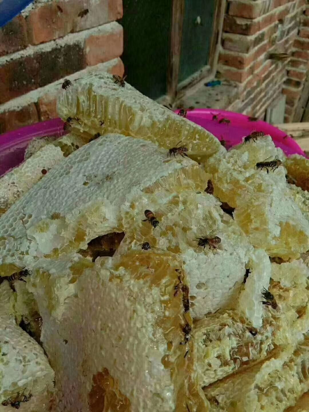 土蜂蜜 塑料瓶装 1年 