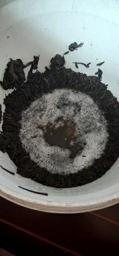 鱼台县日本医蛭  购销