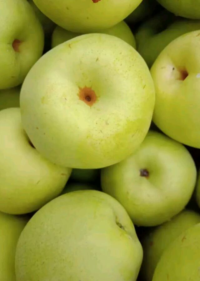 金花梨 85mm以上 500-550g