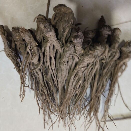 岷县东当归 岷归产地直销，质量保证，价格实惠。
