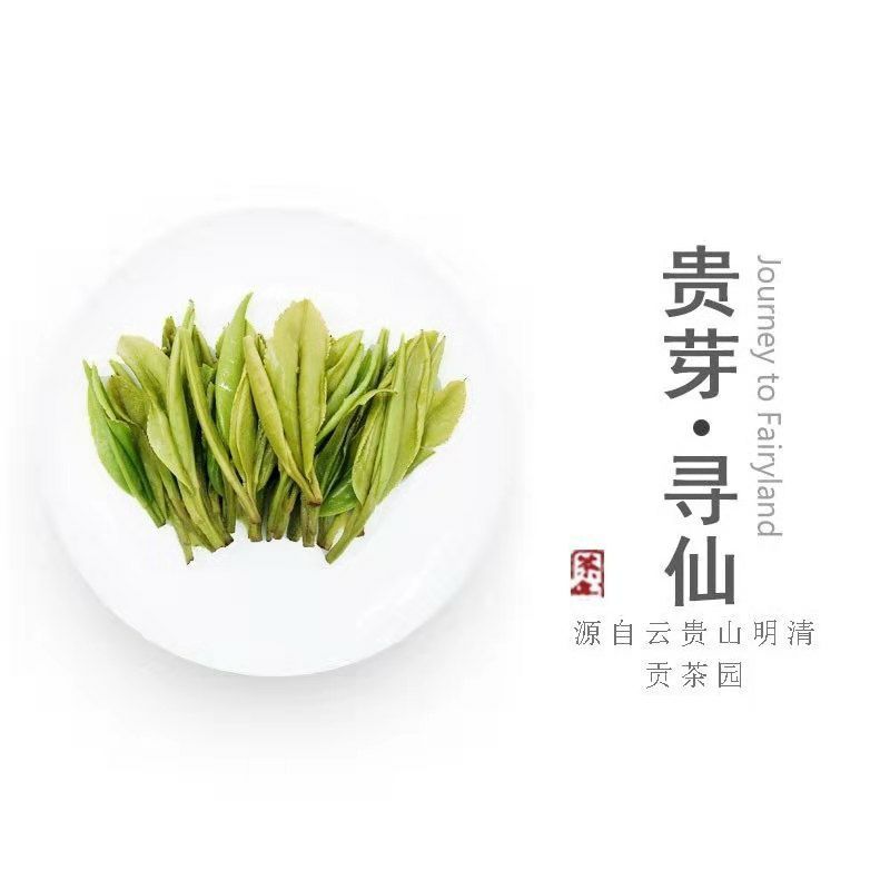 阳春白雪茶叶