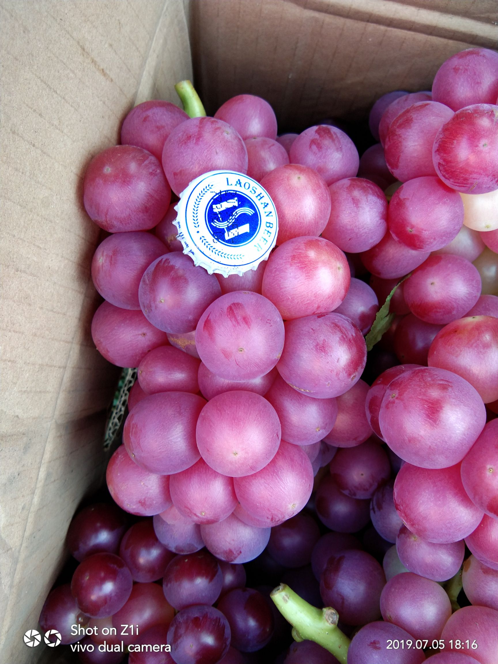 京亚葡萄 京亚，夏黑，预售巨峰