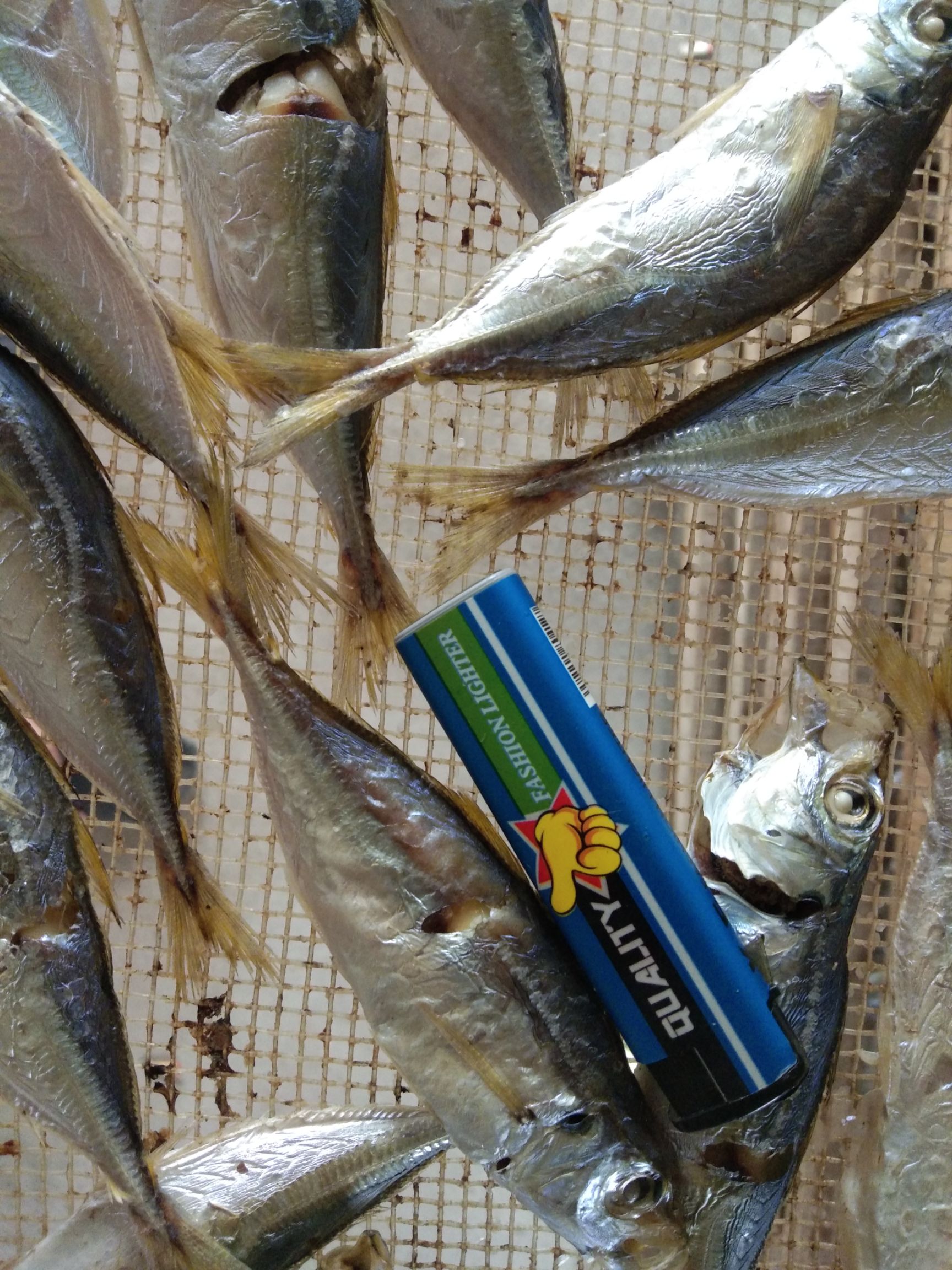 巴浪鱼干 内海黄尾巴条，是巴条鱼中了精品