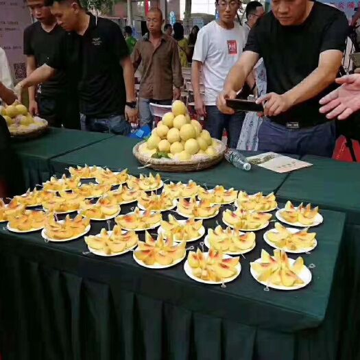炎陵县 炎陵黄桃大量上市了