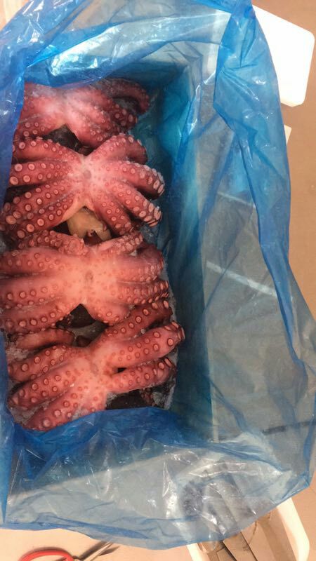 烟台章鱼足