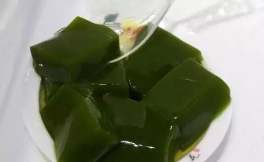 石柱 常年供应神豆腐观音豆腐斑鸠叶豆腐及斑鸠叶树二翅六道树苗