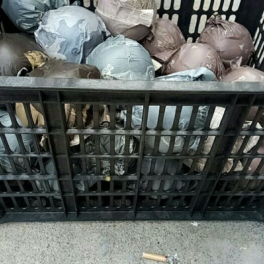 丰水梨 沣水上市，7量以上标准，一级果面