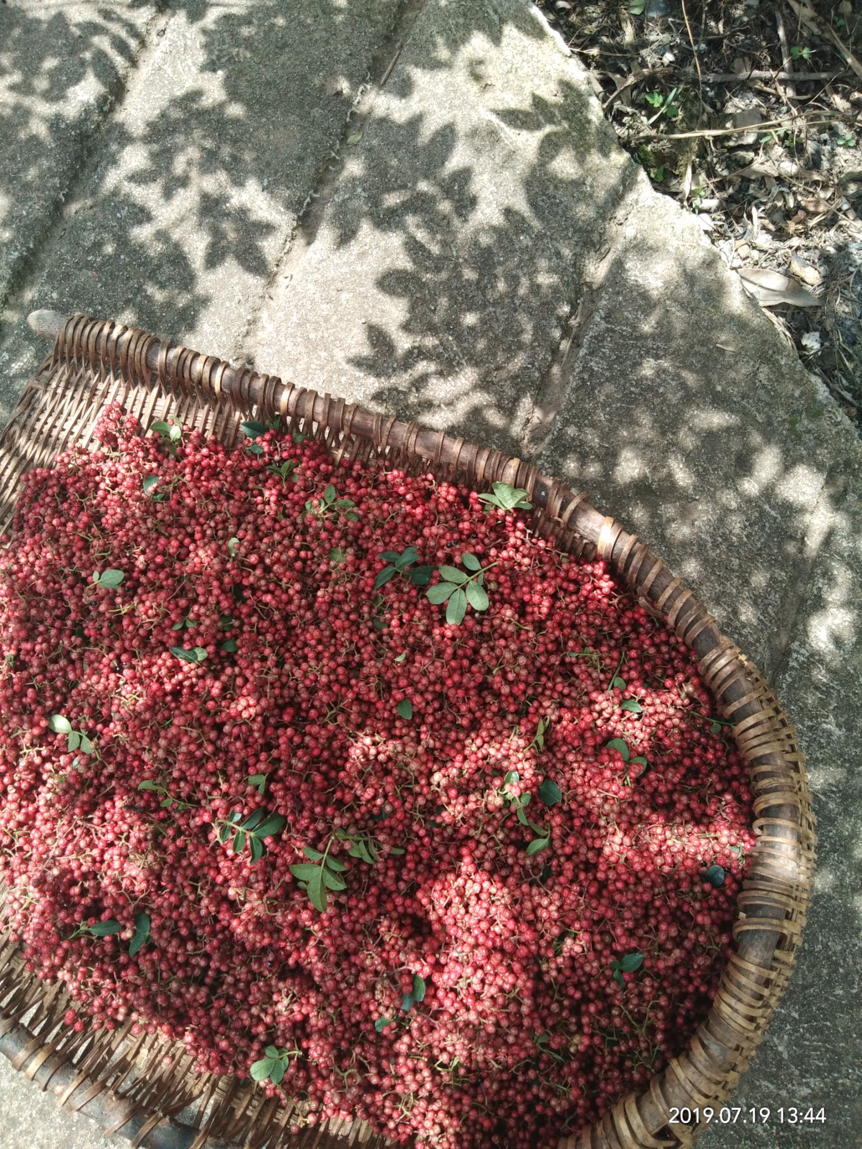 汉源花椒红花椒