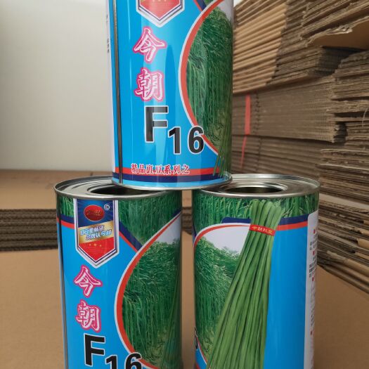 南昌县长豇豆 高端豇豆供应商