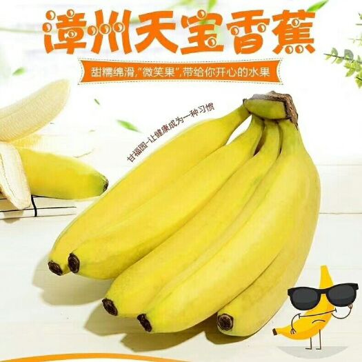 漳州 天宝蕉