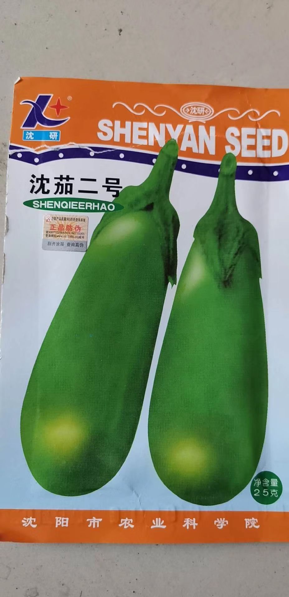 各种茄子苗—有货