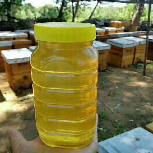富锦市 大山里的蜂蜜纯度高，质量有好