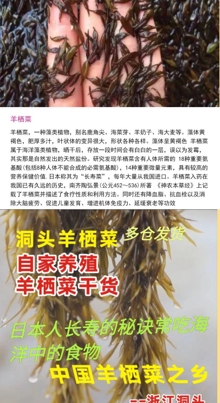 洞头羊栖菜 羊栖菜整根日晒干整条羊栖菜干日本人长寿的秘诀吃海菜一斤包邮