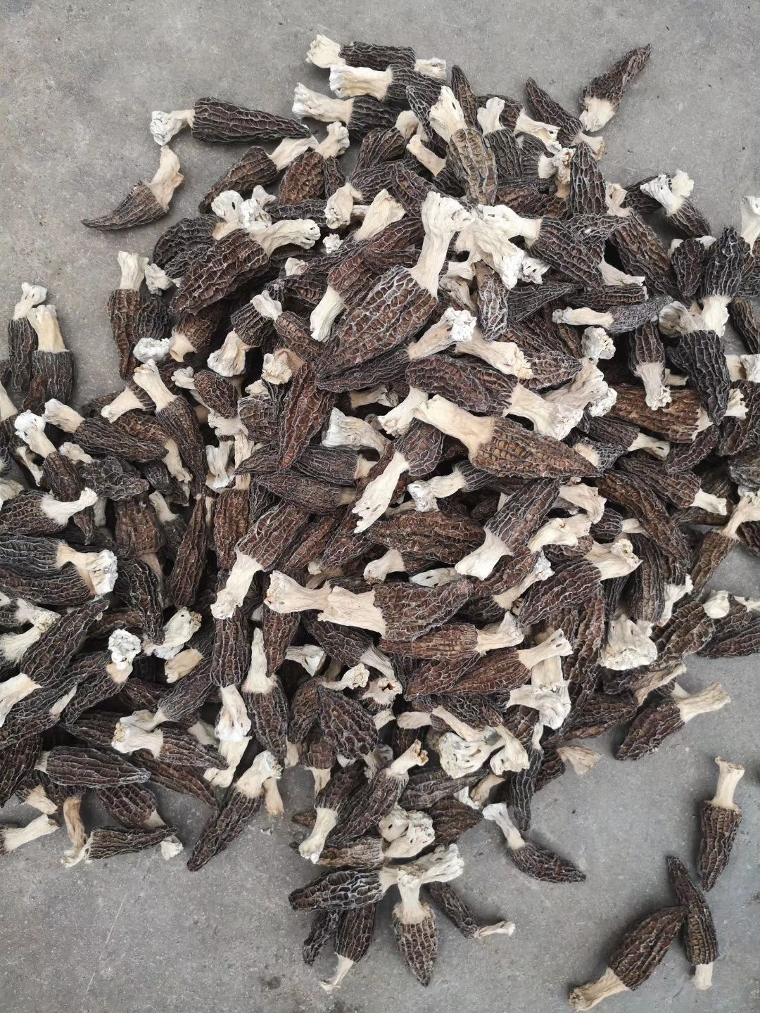 羊肚菌 干货