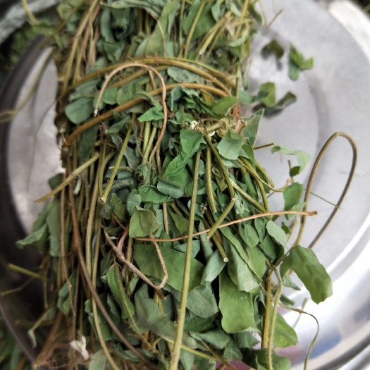 怀集县鸡骨草