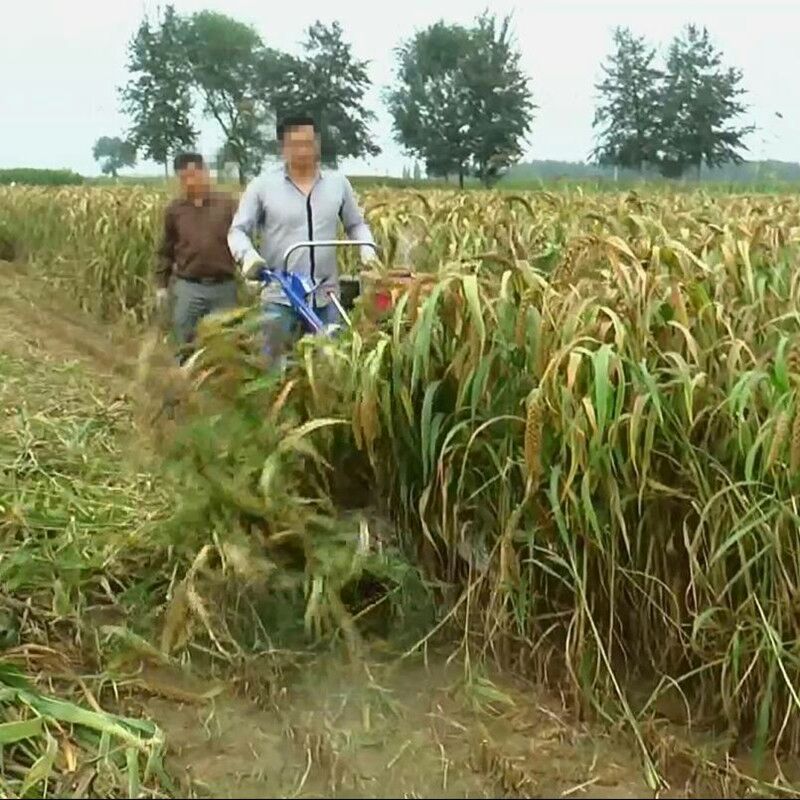 收获机 家用艾草收割机厂家 农用薄荷收割机 手扶式胡麻收割机