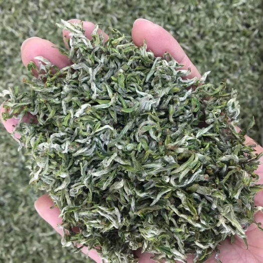 潜山市 高山绿茶