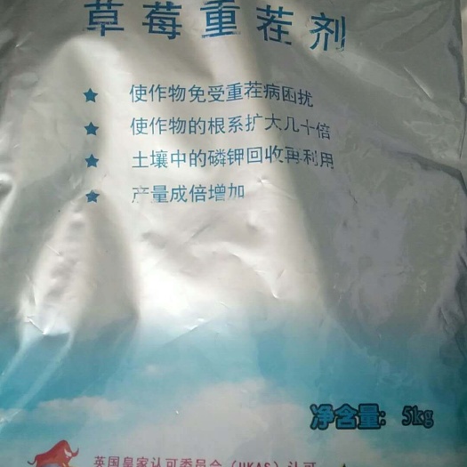 孟州市 草莓重茬剂