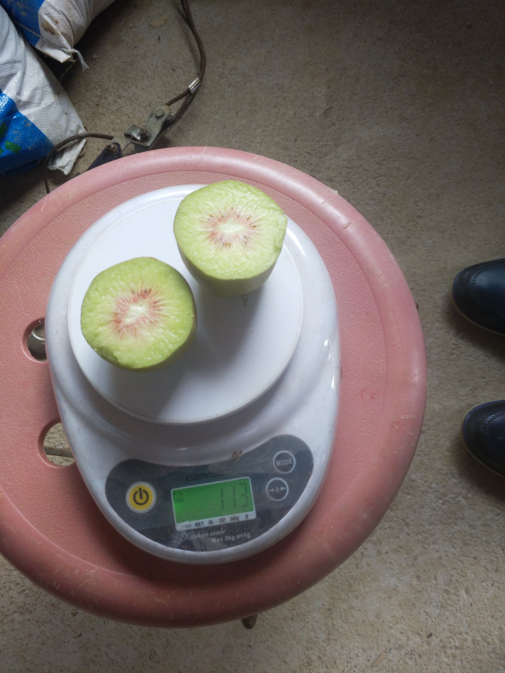  绿色无公害红心猕猴桃 大果  现货!