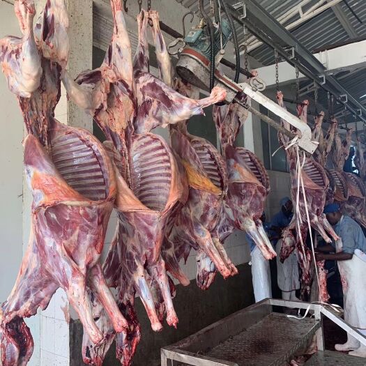 新郑市驴肉香肠 驴肉批发大全，驴下水驴鞭驴板肠…等