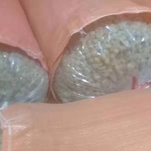德保县广西桂圆干 桂圆肉