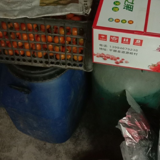 平顺县八仙果 1个月