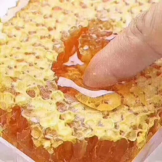 安康土蜂蜜 塑料瓶装 1年 