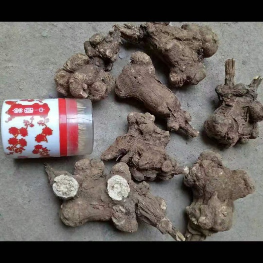 阜阳 大量白术预售