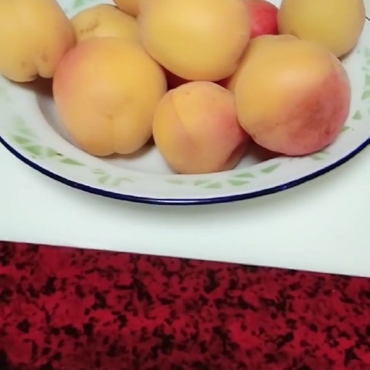 天水 甘肃天水大金杏