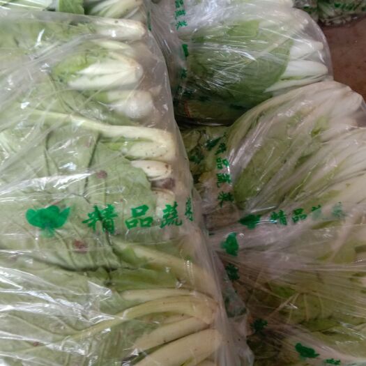 曹县 油菜快菜正在出库