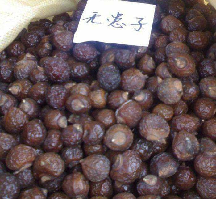  正品！无硫新货！！无患子 ！一斤包邮到家