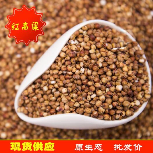 临沂 大量批发 红糯高粱 酿酒酿醋高粱 五谷杂粮食品加工原料袋装