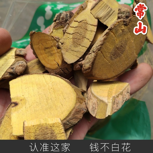  常山 正品保证 中药材 包邮