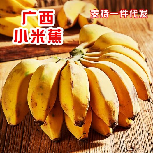南宁 广西小米蕉粉蕉现摘直邮促销价包售后