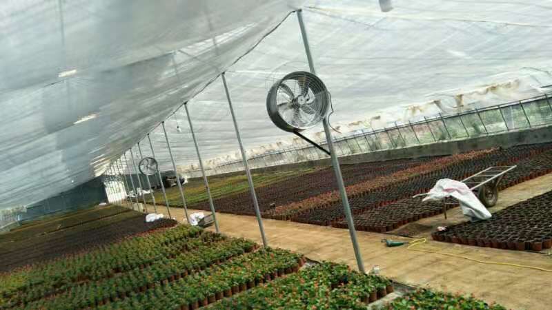 青州市防草布 大棚配套设施