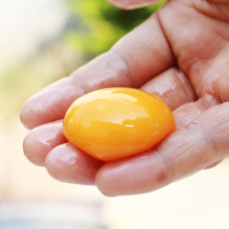 河南新乡 农家土鸡蛋 快递包邮  破损包赔