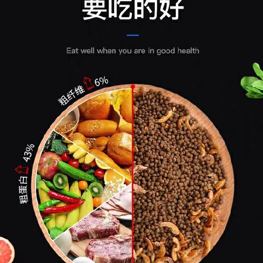 化州市蛋白质饲料 龟粮乌龟饲料巴西龟草龟食物半水龟粮幼龟观赏龟专用