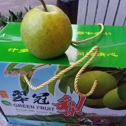 常州翠冠梨 又脆又甜的翠冠李，是你夏天清凉的选择。